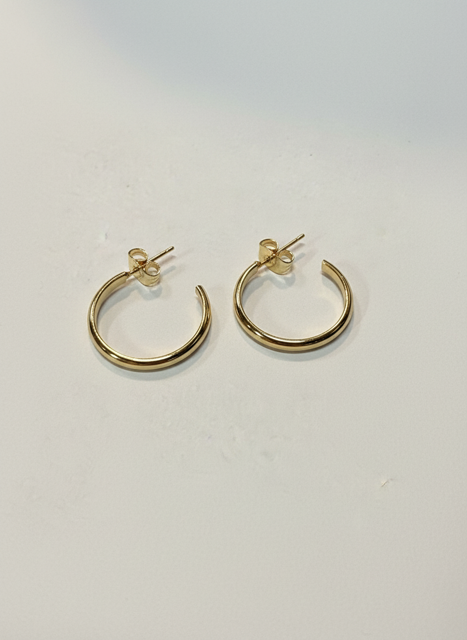 עגילי ג&